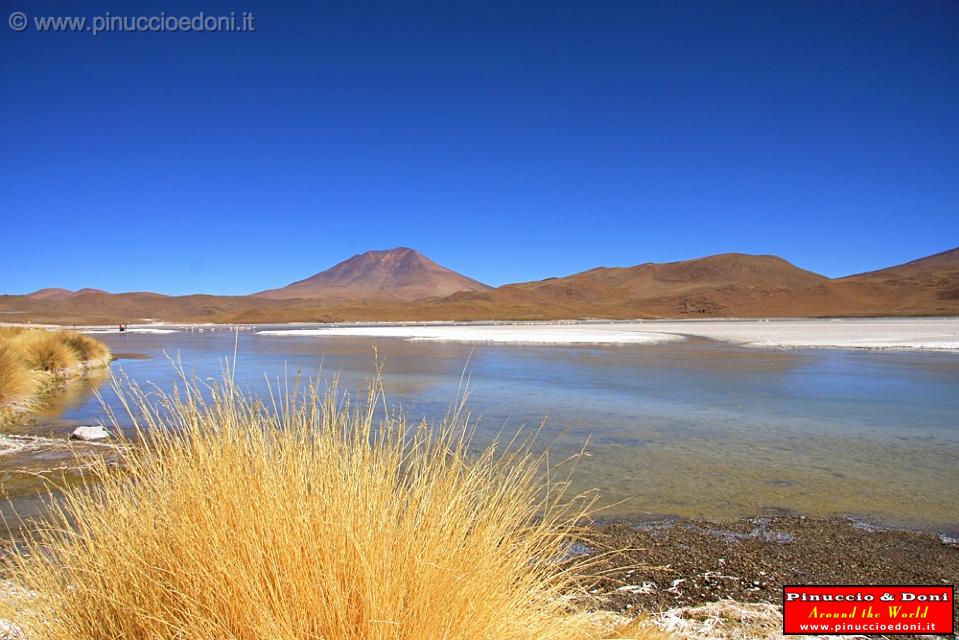 BOLIVIA 2 - Ruta de Las Joyas - Laguna Hedionda - 29.jpg